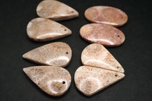 Load image into Gallery viewer, (#51-55)フォシルコーラル 穴あき ペアルース カボション
