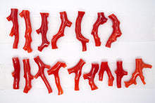 画像をギャラリービューアに読み込む, (No.1-16)高知沖産 赤枝 珊瑚 ルース 無穴 コーラル 血赤