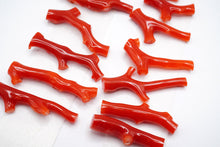 画像をギャラリービューアに読み込む, (No.1-16)高知沖産 赤枝 珊瑚 ルース 無穴 コーラル 血赤