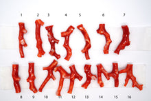 画像をギャラリービューアに読み込む, (No.1-16)高知沖産 赤枝 珊瑚 ルース 無穴 コーラル 血赤