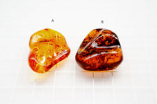 Load image into Gallery viewer, (A/B)琥珀 アンバー バルチックアンバー ルース