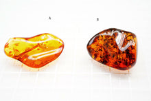 Load image into Gallery viewer, (A/B)琥珀 アンバー バルチックアンバー ルース