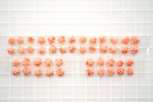 画像をギャラリービューアに読み込む, (No.1-3)ピンク珊瑚 フラワーカービング ペア/3粒セット ルース 裏面片穴 コーラル