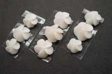 画像をギャラリービューアに読み込む, (No.1-3)ピンク珊瑚 フラワーカービング ペア/3粒セット ルース 裏面片穴 コーラル