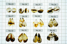 画像をギャラリービューアに読み込む, (No.23-39)モンタナアゲート ペアルース 上部片穴あき 丸 ペアシェイプ