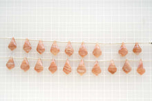 画像をギャラリービューアに読み込む, (9pc/10pc)スコレサイト スムースリーフ