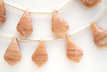 画像をギャラリービューアに読み込む, (9pc/10pc)スコレサイト スムースリーフ