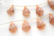 画像をギャラリービューアに読み込む, (9pc/10pc)スコレサイト スムースリーフ