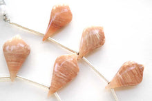 画像をギャラリービューアに読み込む, (9pc/10pc)スコレサイト スムースリーフ