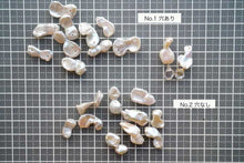 Load image into Gallery viewer, (No.1-2)上質 淡水パール 無核 ツインズ バロック