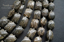 画像をギャラリービューアに読み込む, (半連/1連)上質 ツリテラ アゲート 巻き貝 化石 レクタングル チクレット マイクロカット