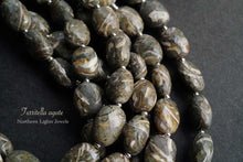 Load image into Gallery viewer, (半連/1連)上質 ツリテラ アゲート 巻き貝 化石 ファセット オーバル マイクロカット