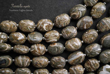 Load image into Gallery viewer, (半連/1連)上質 ツリテラ アゲート 巻き貝 化石 ファセット オーバル マイクロカット