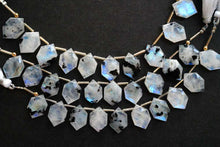 Load image into Gallery viewer, (2/10pc)宝石質 ホワイトラブラドライト ブラックスポット ヘキサゴンシェイプ