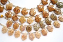 画像をギャラリービューアに読み込む, (2/10pc)フォッシルコーラル ヘキサゴン リーフ アゲート