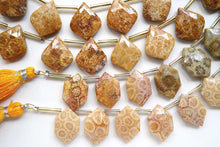 画像をギャラリービューアに読み込む, (2/10pc)フォッシルコーラル ヘキサゴン リーフ アゲート