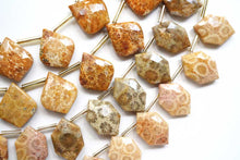 画像をギャラリービューアに読み込む, (2/10pc)フォッシルコーラル ヘキサゴン リーフ アゲート