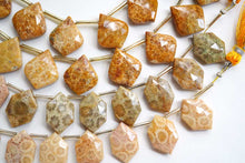 画像をギャラリービューアに読み込む, (2/10pc)フォッシルコーラル ヘキサゴン リーフ アゲート