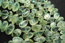 画像をギャラリービューアに読み込む, (S/M/L) プレナイト 40cm スムースタンブル