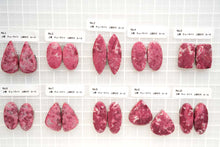 画像をギャラリービューアに読み込む, (No.1-42)チューライト ペアルース 上部穴あき 裏フラット