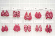 画像をギャラリービューアに読み込む, (No.1-42)チューライト ペアルース 上部穴あき 裏フラット