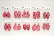 画像をギャラリービューアに読み込む, (No.1-42)チューライト ペアルース 上部穴あき 裏フラット