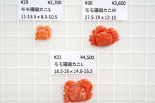 Load image into Gallery viewer, (1 row 43 cm) High quality Kochi natural color peach coral Yatara beads + round ball peach coral