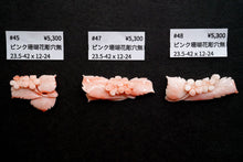 画像をギャラリービューアに読み込む, (#38-48) 天然色 ピンク珊瑚 お花 彫り フラワーカービング カボション ルース