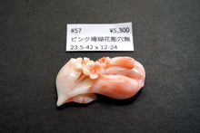 画像をギャラリービューアに読み込む, (#49-57) 天然色 ピンク珊瑚 お花 彫り フラワーカービング カボション ルース
