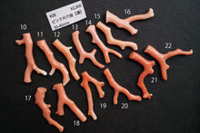 画像をギャラリービューアに読み込む, (No.1-22)ピンク珊瑚 上部片穴 枝ルース 30-40mm
