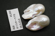 画像をギャラリービューアに読み込む, (ペア #9-19)高品質 淡水パール ホワイト オイスターバロック 穴無し ルース