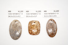 画像をギャラリービューアに読み込む, 5/28(アフガナイト / フォッシルコーラル)ルース 穴あき カボション