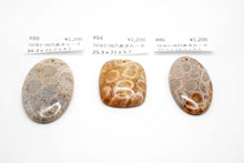 画像をギャラリービューアに読み込む, 5/28(アフガナイト / フォッシルコーラル)ルース 穴あき カボション