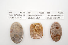 画像をギャラリービューアに読み込む, 5/28(アフガナイト / フォッシルコーラル)ルース 穴あき カボション