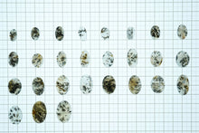 画像をギャラリービューアに読み込む, 8/25(粒売り)【模様はっきり】(オーバル)デンドライトアゲート カボション 上部穴あき