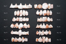 Load image into Gallery viewer, (No.1-12) Large Scolesite Cabochon Beads Fancy Shape Mix