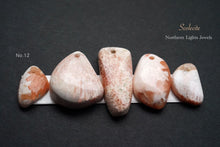 Load image into Gallery viewer, (No.1-12) Large Scolesite Cabochon Beads Fancy Shape Mix