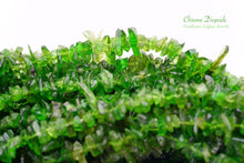 画像をギャラリービューアに読み込む, 希少石クロムダイオプサイト チップ さざれ