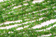 画像をギャラリービューアに読み込む, 希少石クロムダイオプサイト チップ さざれ