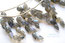 画像をギャラリービューアに読み込む, (1房6粒/10房60粒)高品質 ラブラドライト つぼみ ドロップ フラワーバド