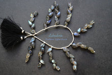 画像をギャラリービューアに読み込む, (1房6粒/10房60粒)高品質 ラブラドライト つぼみ ドロップ フラワーバド