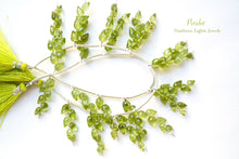 画像をギャラリービューアに読み込む, (1房6粒/10房60粒)高品質 ペリドット つぼみドロップ フラワーバド
