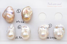 画像をギャラリービューアに読み込む, (No.1-7)淡水パール オイスター バロック 2粒セット 穴なし ルース