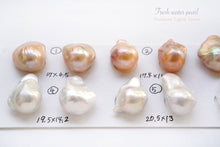 画像をギャラリービューアに読み込む, (No.1-7)淡水パール オイスター バロック 2粒セット 穴なし ルース
