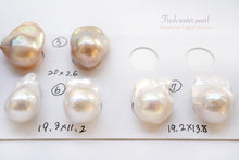画像をギャラリービューアに読み込む, (No.1-7)淡水パール オイスター バロック 2粒セット 穴なし ルース