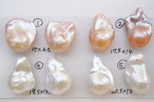 画像をギャラリービューアに読み込む, (No.1-7)淡水パール オイスター バロック 2粒セット 穴なし ルース