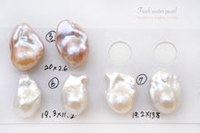 画像をギャラリービューアに読み込む, (No.1-7)淡水パール オイスター バロック 2粒セット 穴なし ルース