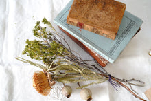 Load image into Gallery viewer, French vintage book (brown)