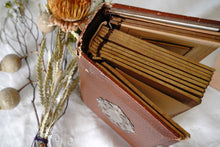 Load image into Gallery viewer, French antique photo book (brown) display supplies
