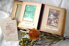 Load image into Gallery viewer, French antique photo book (brown) display supplies